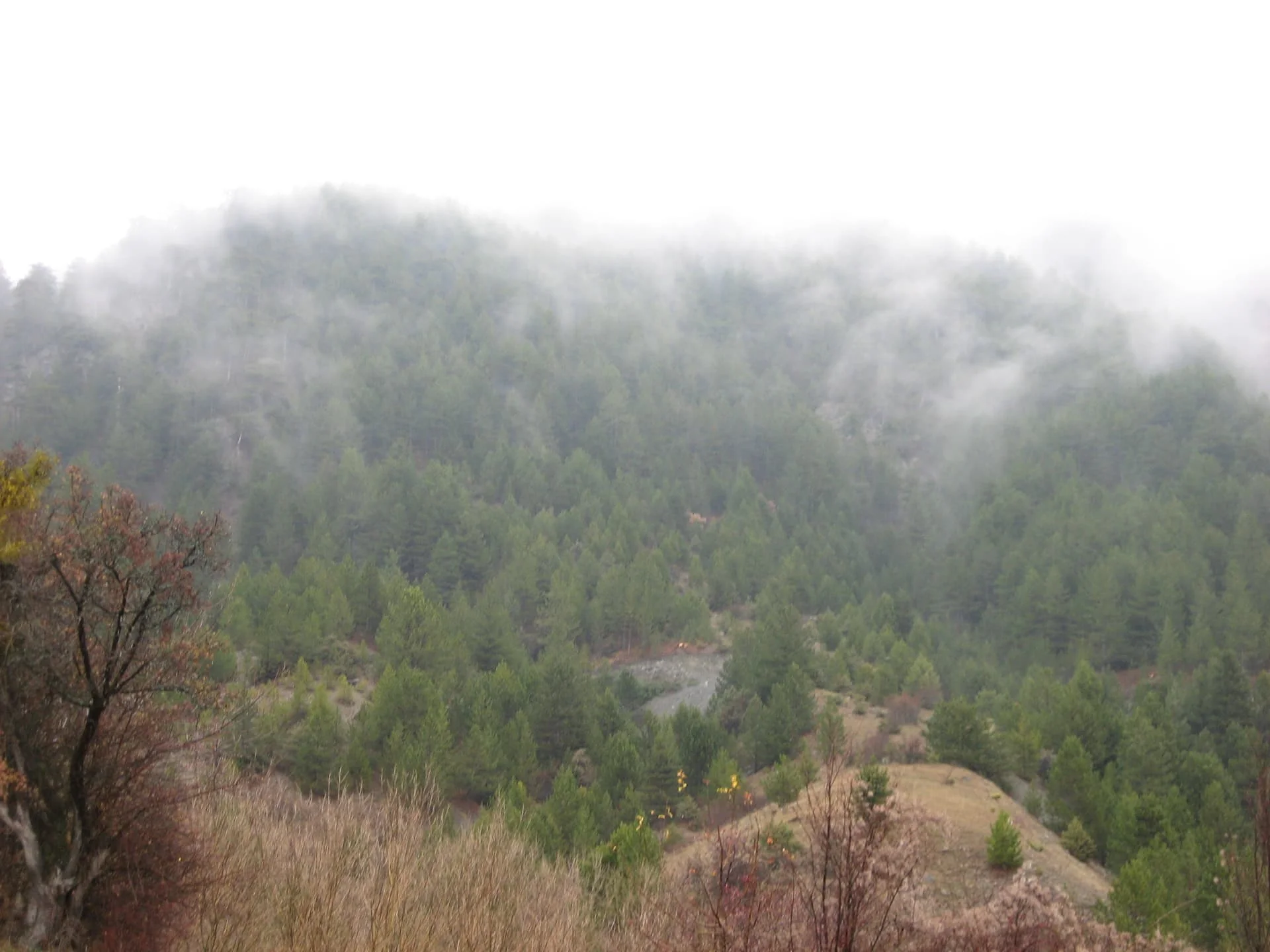 ilgazdan resimler (88)