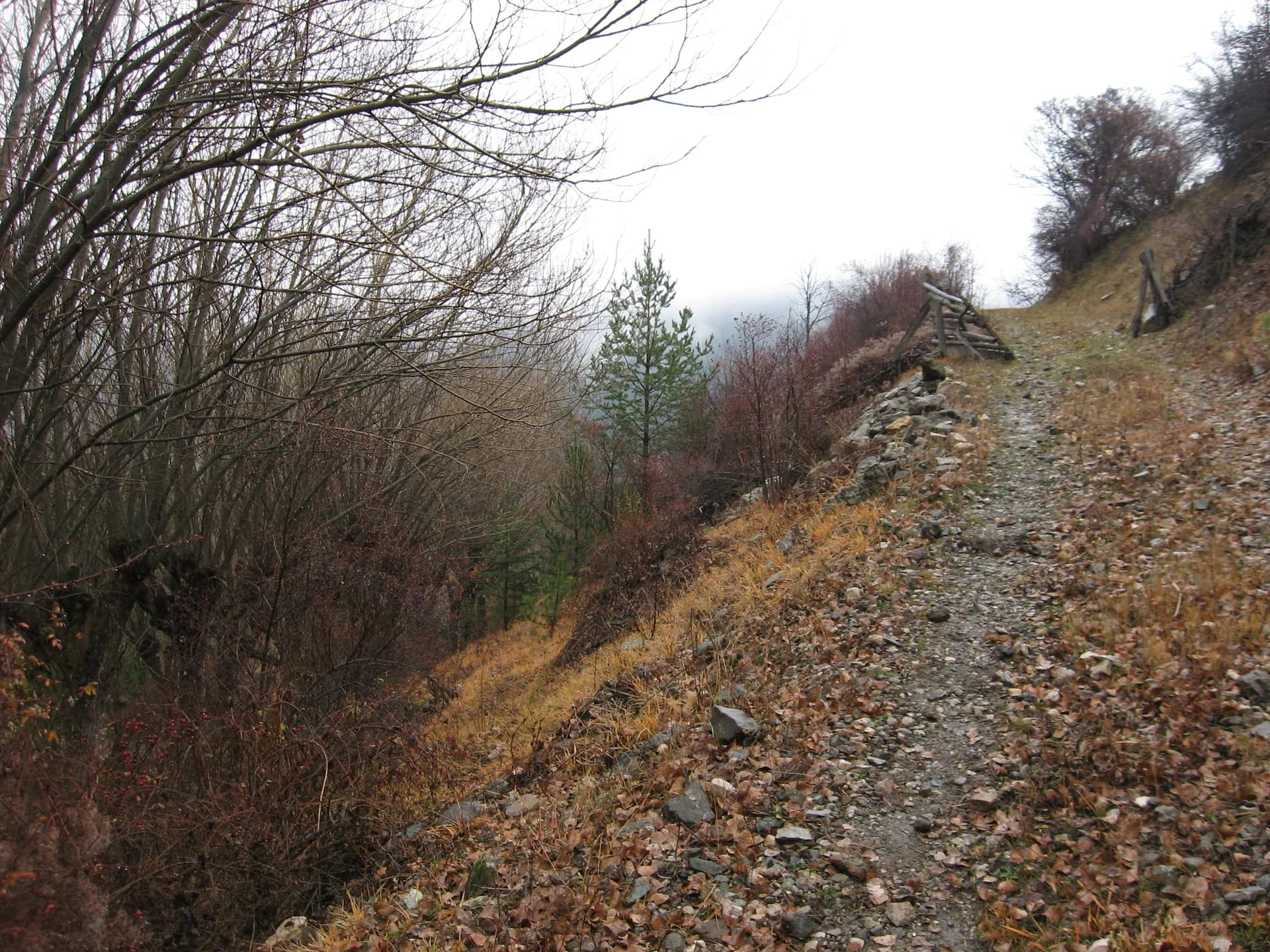 ilgazdan resimler (96)