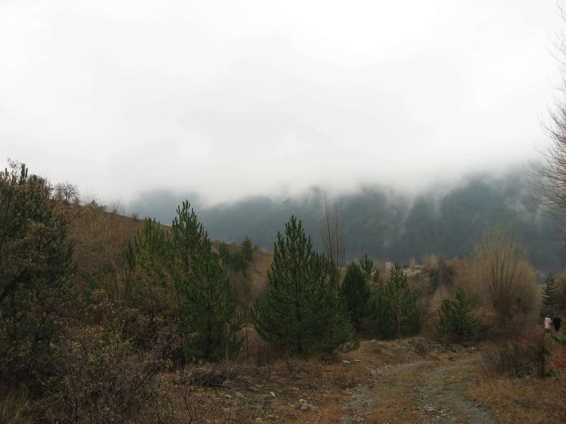 ilgazdan resimler (99)