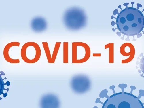Covid19 Pandemisi ve Pandemi Kısıtlamaları
