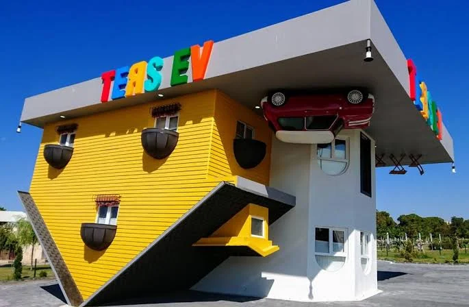 images - 2024-02-17T111959.032