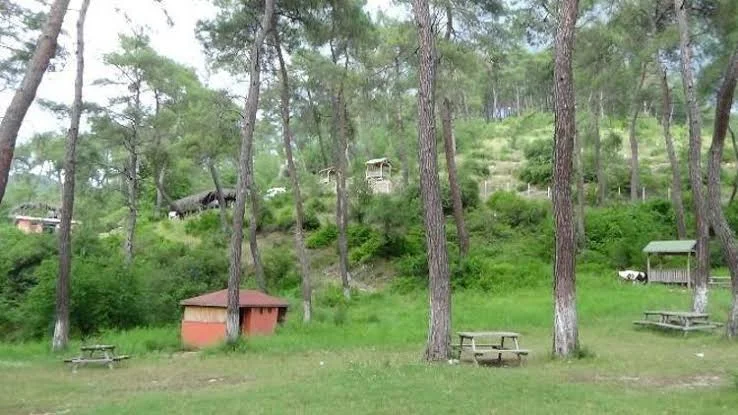 images - 2024-02-19T192446.441