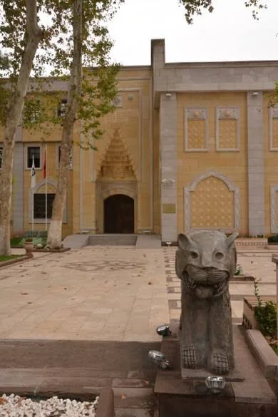 images - 2024-02-19T200922.122