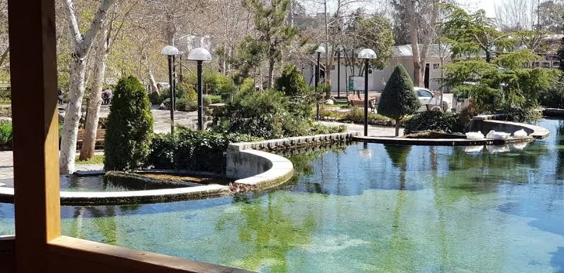 images - 2024-02-19T202127.354