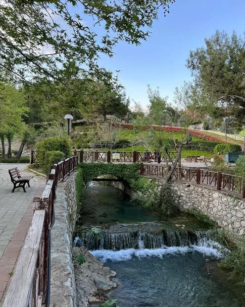 images - 2024-02-19T202141.456