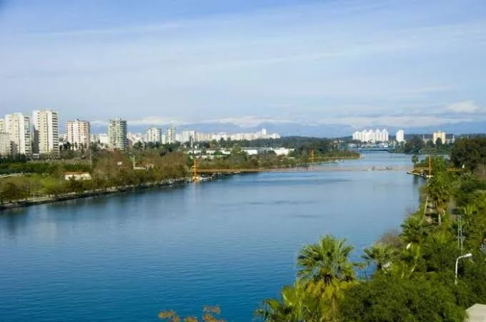 images - 2024-03-03T174109.047