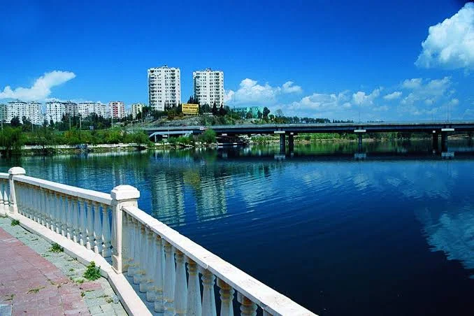 images - 2024-03-03T174120.962