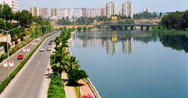 images - 2024-03-03T174127.594