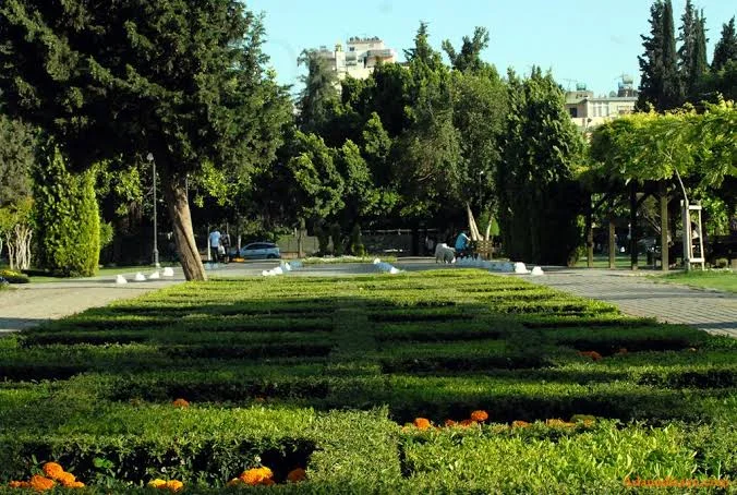 images - 2024-03-04T072130.426