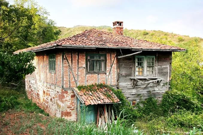 images - 2024-08-25T210033.590