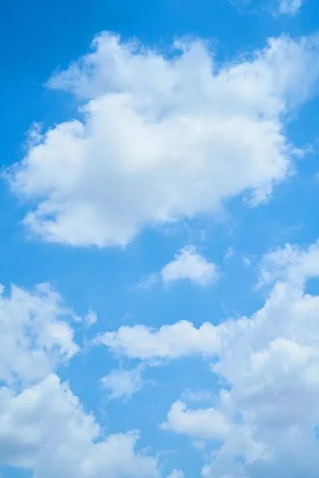 images - 2024-08-25T210445.892