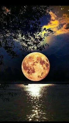 images - 2024-08-25T210615.850