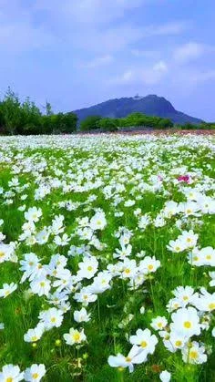 images - 2024-09-10T094507.771