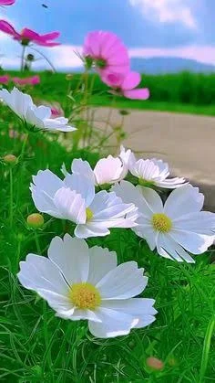 images - 2024-09-10T094517.576