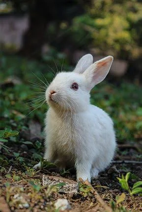 images - 2024-09-13T193002.516