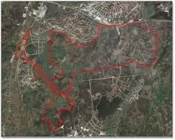 images - 2025-06-30T202124.532.webp