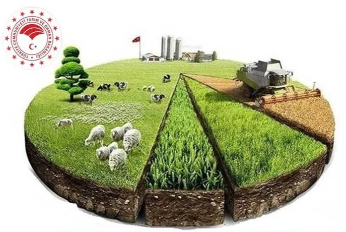 IMG-20231110-234822 (1)