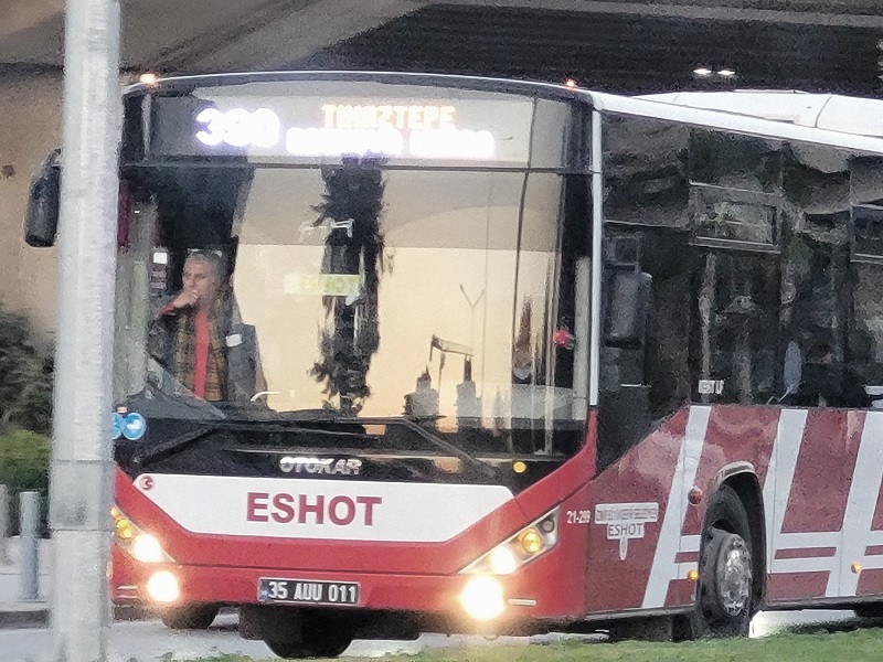 IMG_1513 (resized).jpg