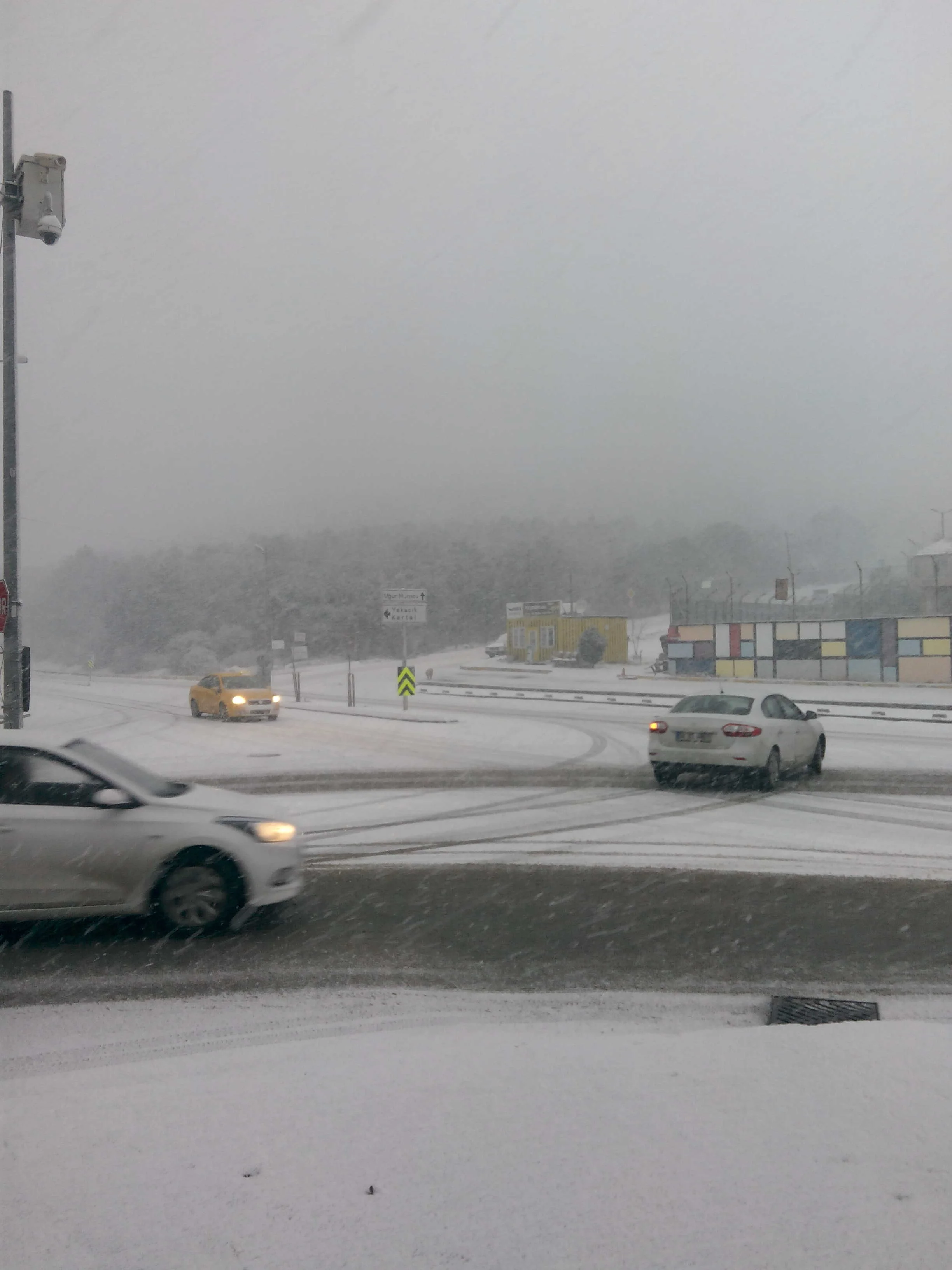 IMG_20170126_084538_3