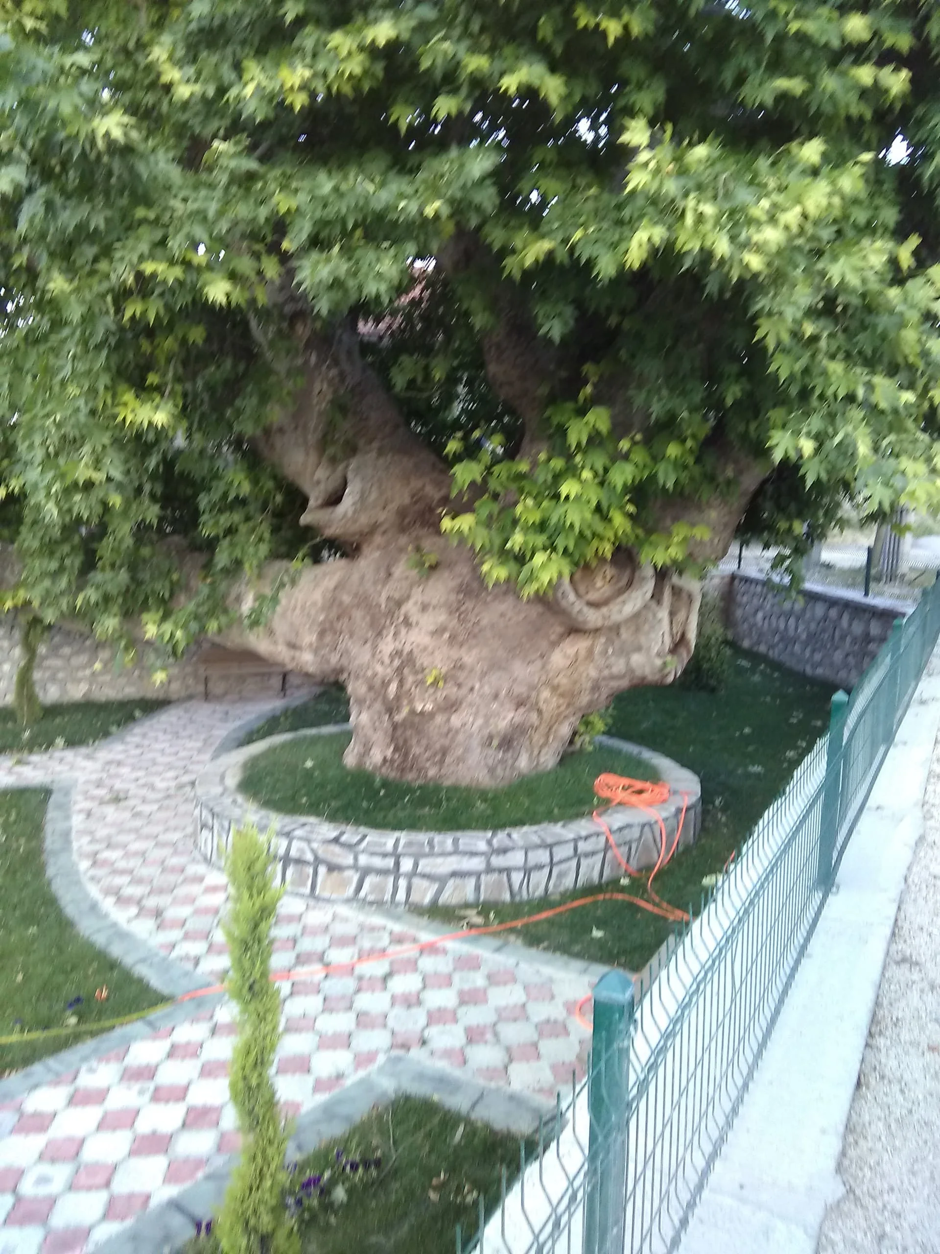 IMG_20190715_192356 gölhisar gelin kavağı