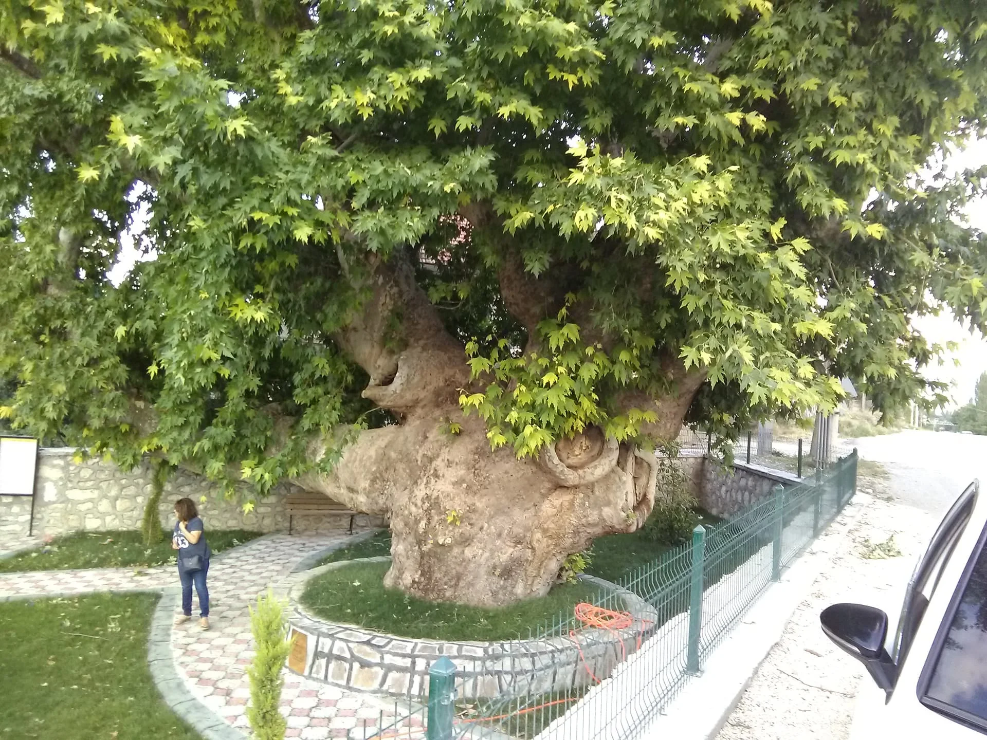 IMG_20190715_192404 gölhisar gelin kavağı