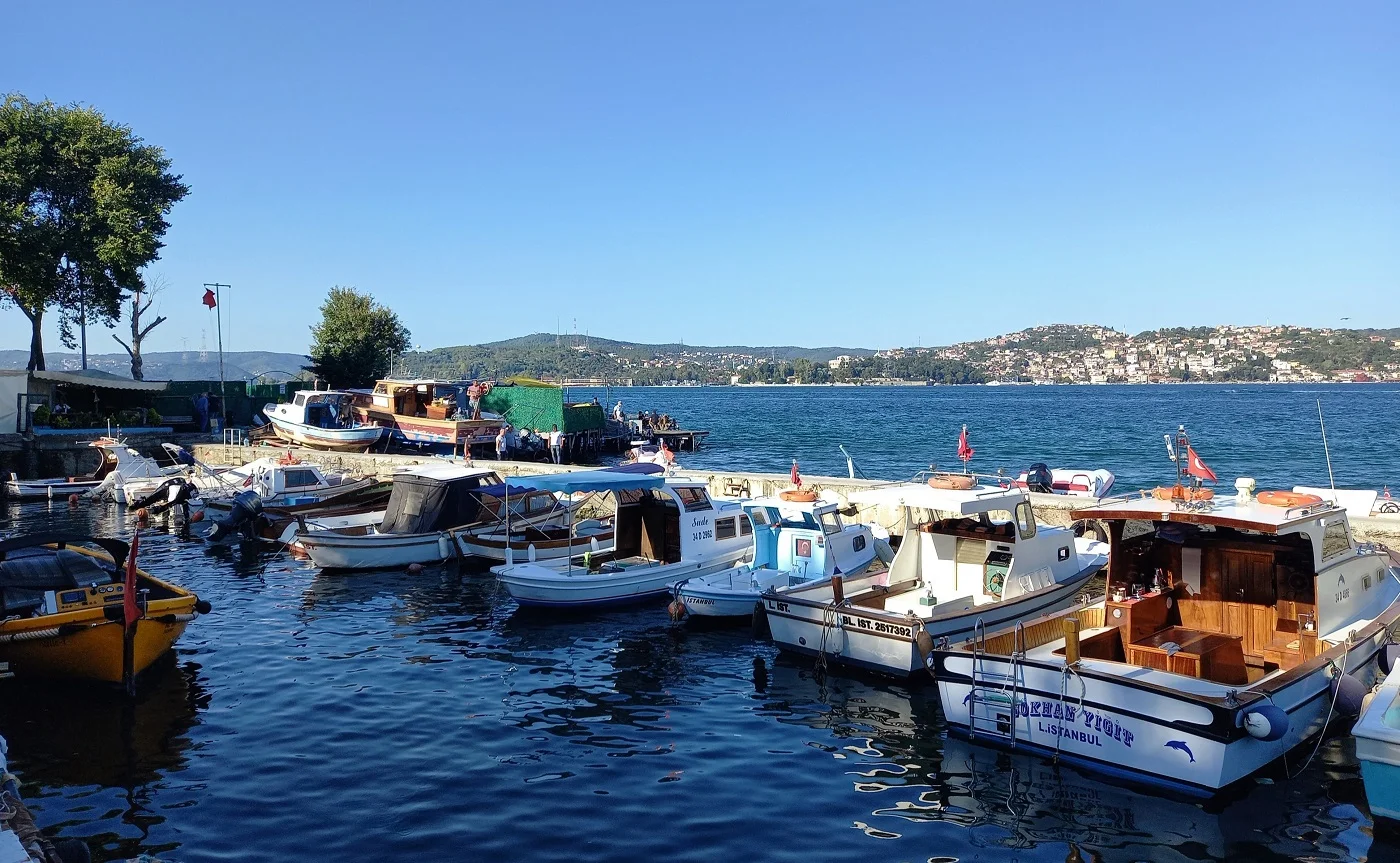 IMG_20201031_230910_909