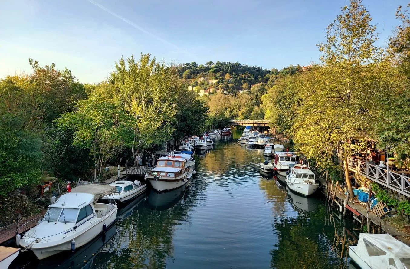 IMG_20211107_230131_851