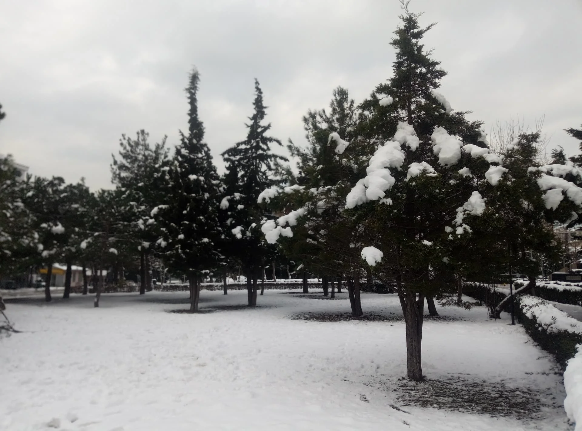 IMG_20220126_121714_3