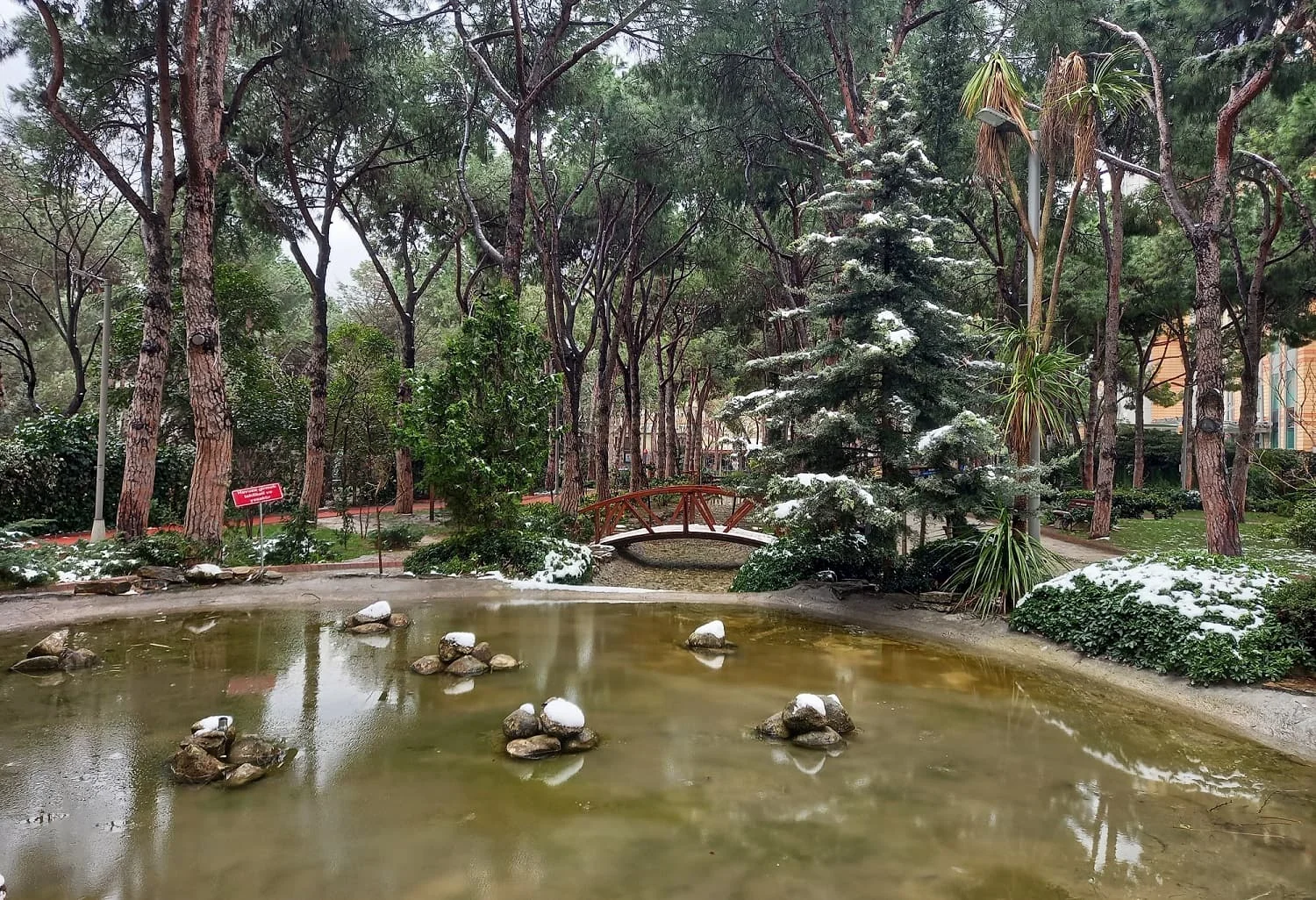 IMG_20220319_234038_845