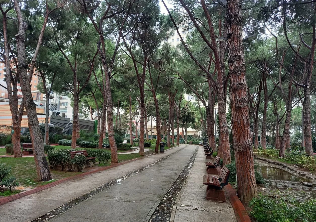 IMG_20220403_001202_443