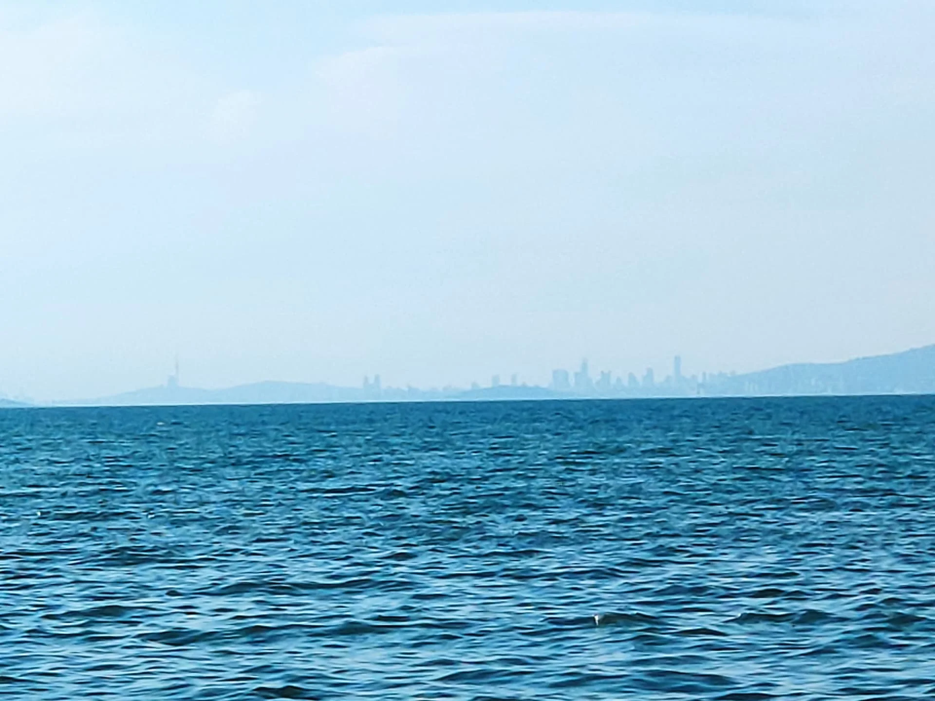 IMG_20220626_185309_1