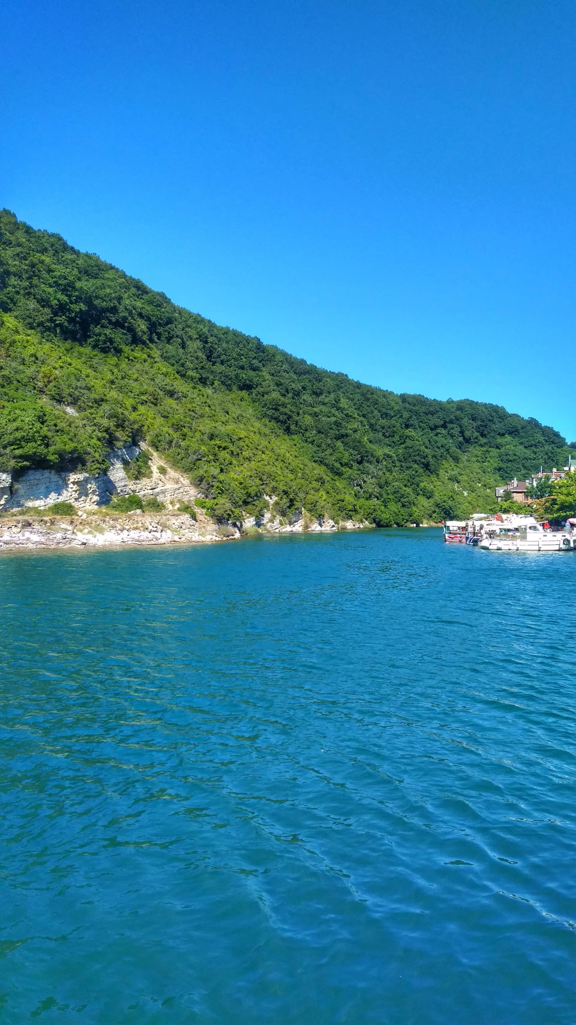 IMG_20220714_164529-01