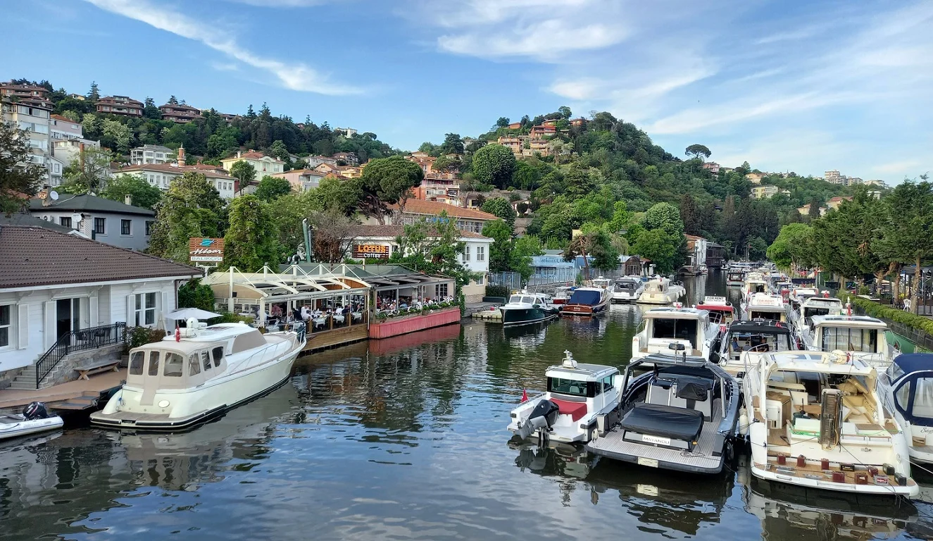 IMG_20220807_000245_478 (1)