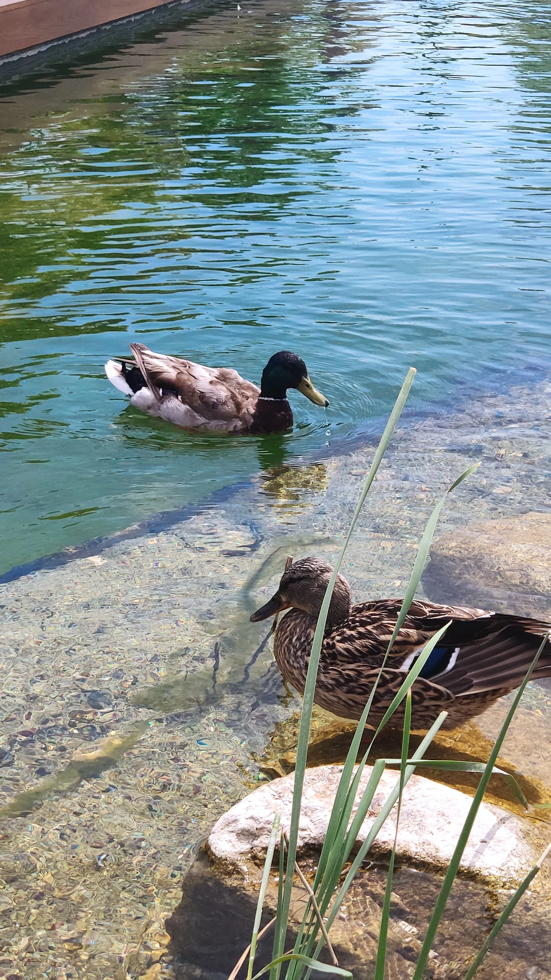 IMG_20230514_143614_1