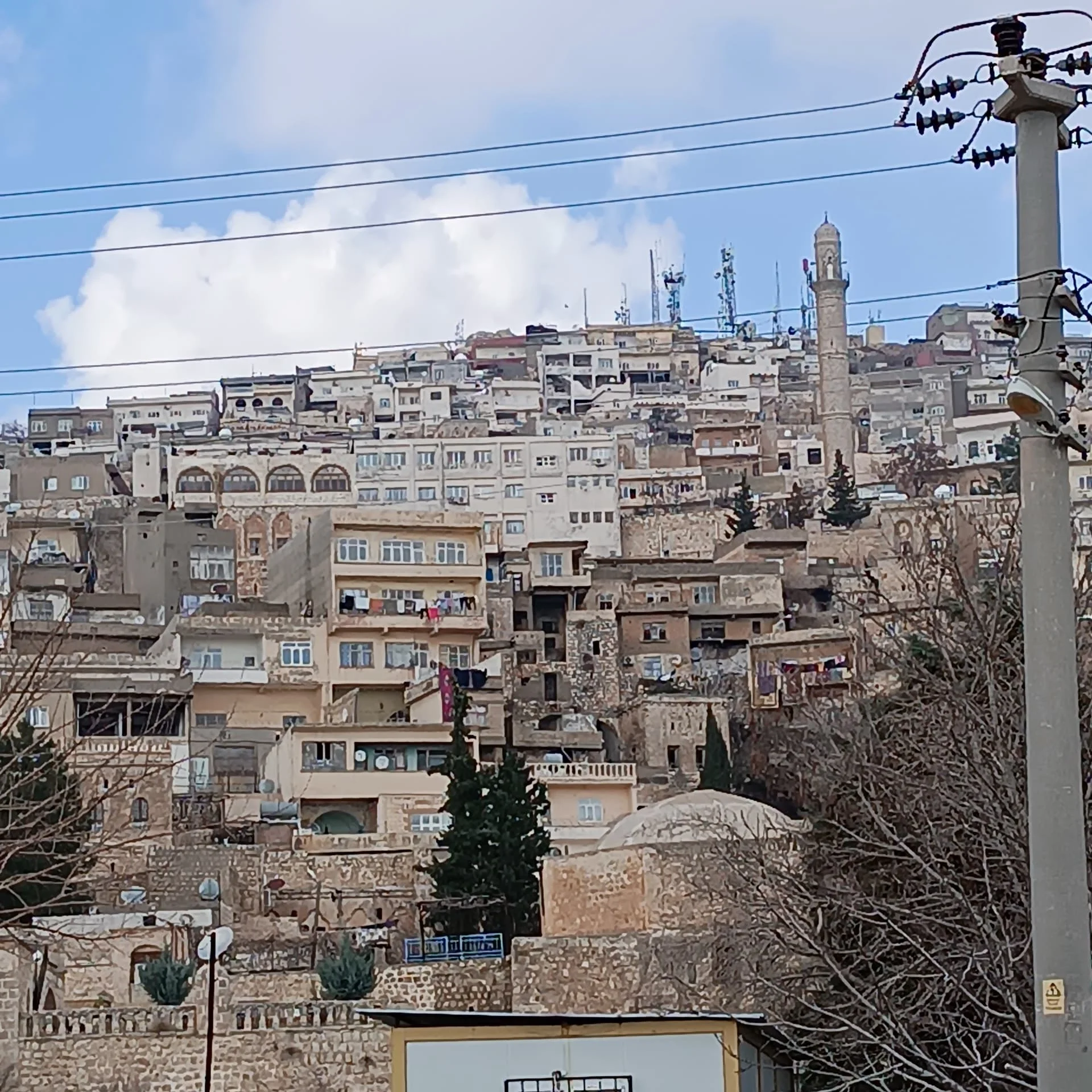 IMG_20240203_131548_1