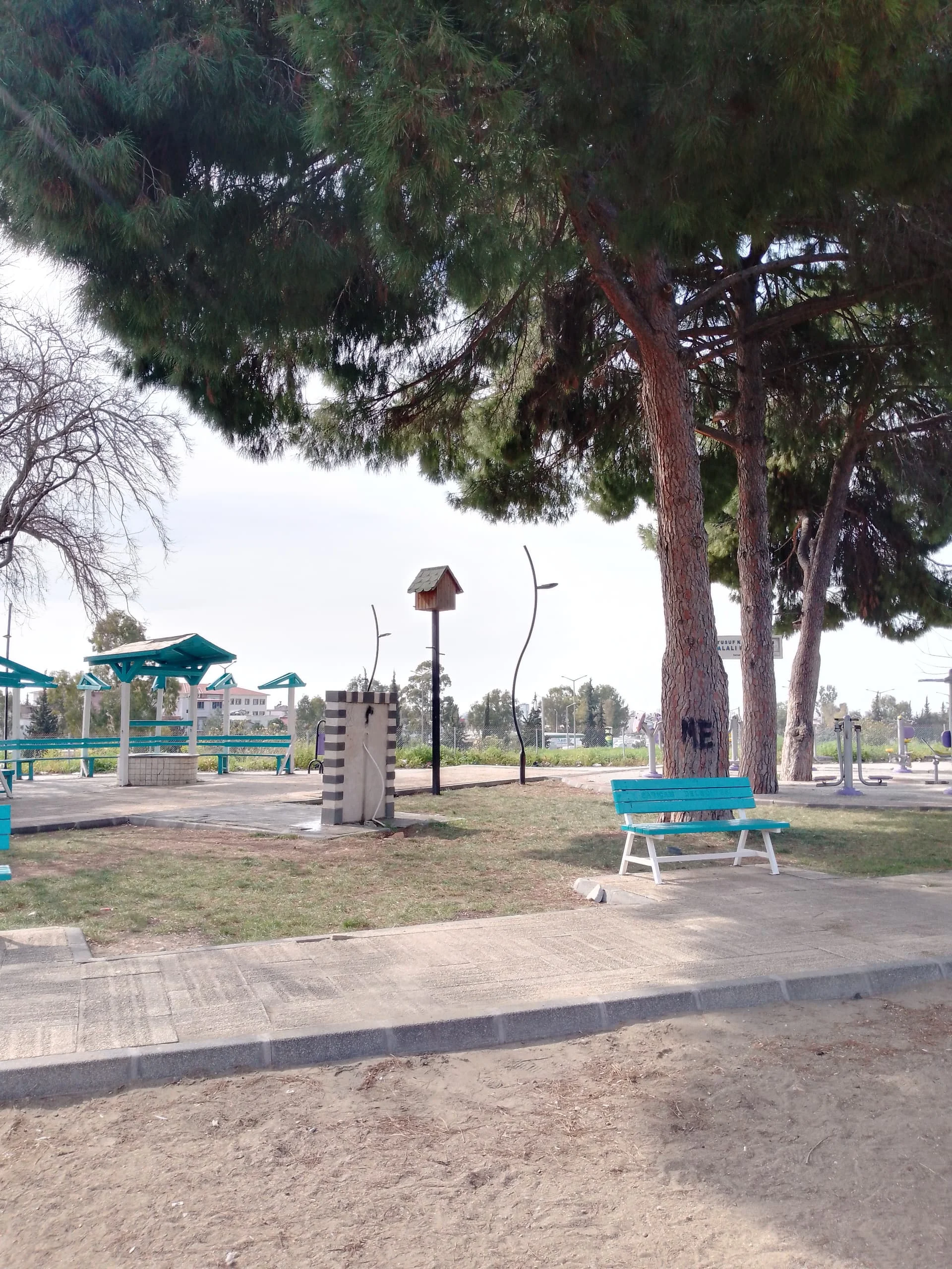 IMG_20240227_115417_856