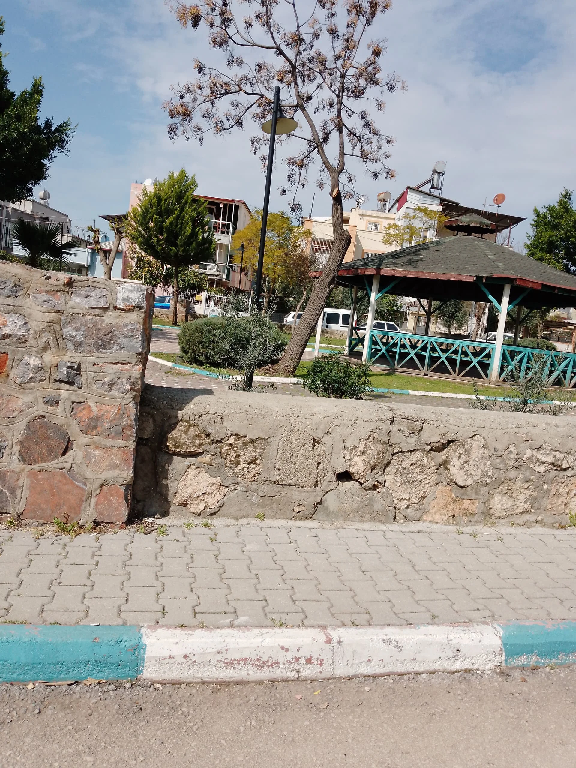 IMG_20240227_121755_424