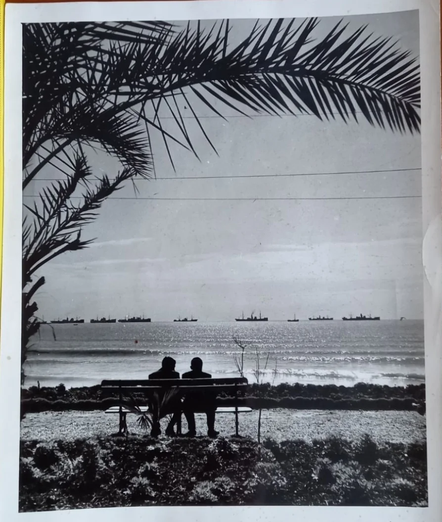 IMG_20240305_013219_019