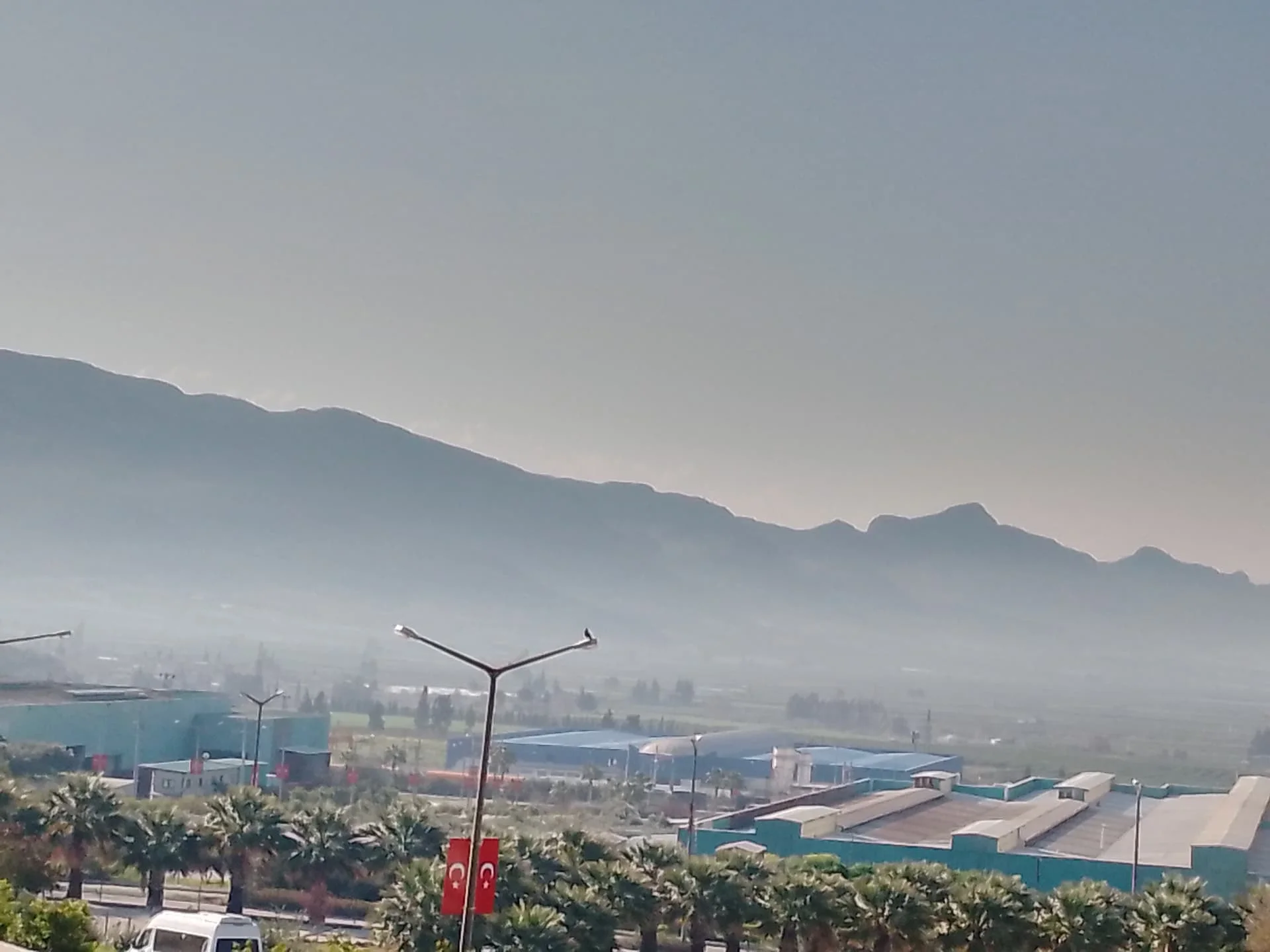 IMG_20240308_093221_805