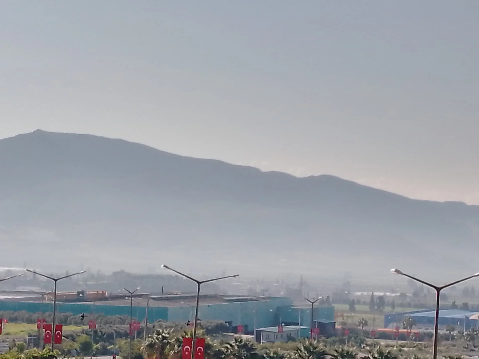 IMG_20240308_093236_747