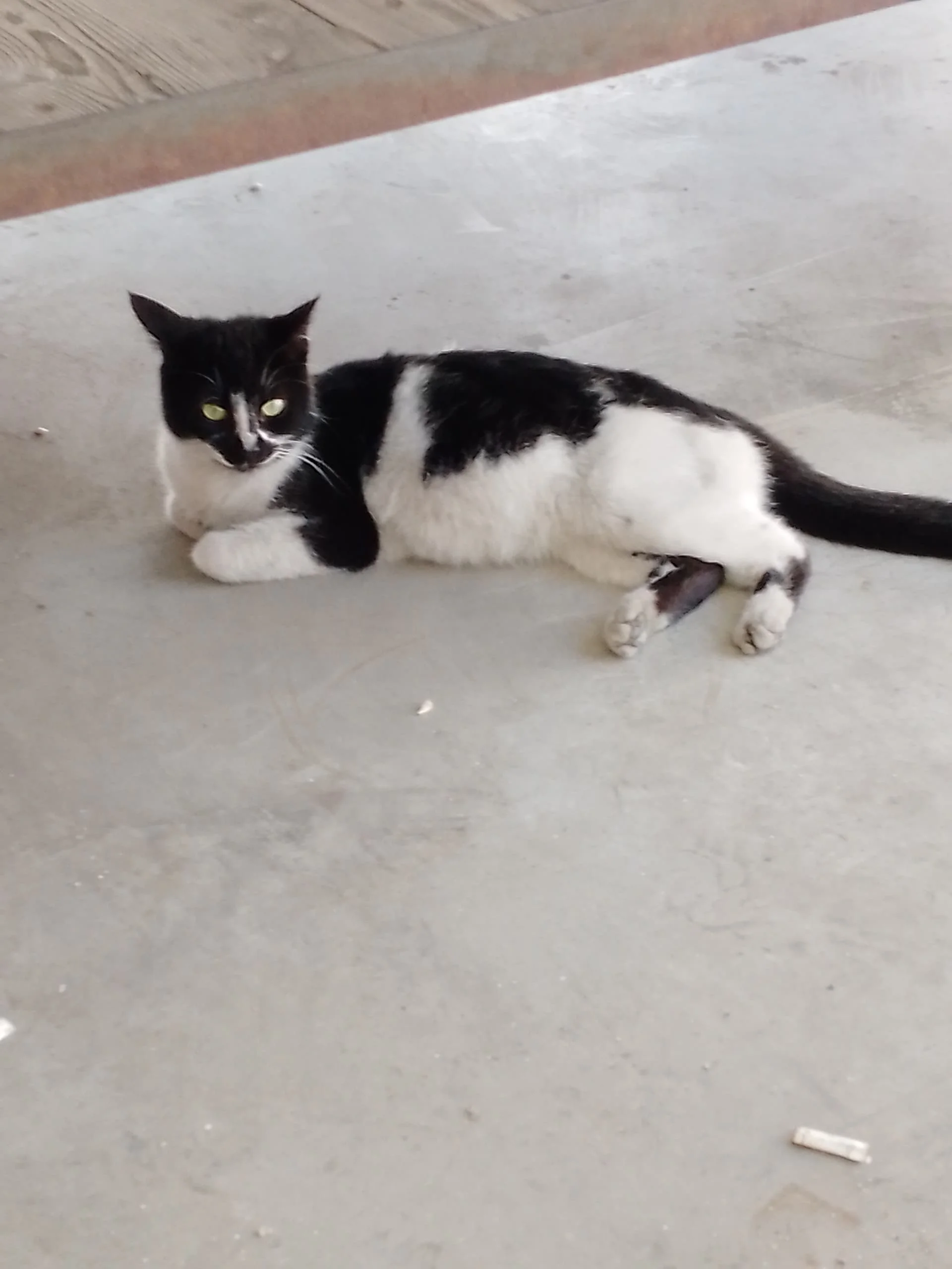 IMG_20240310_120535_956