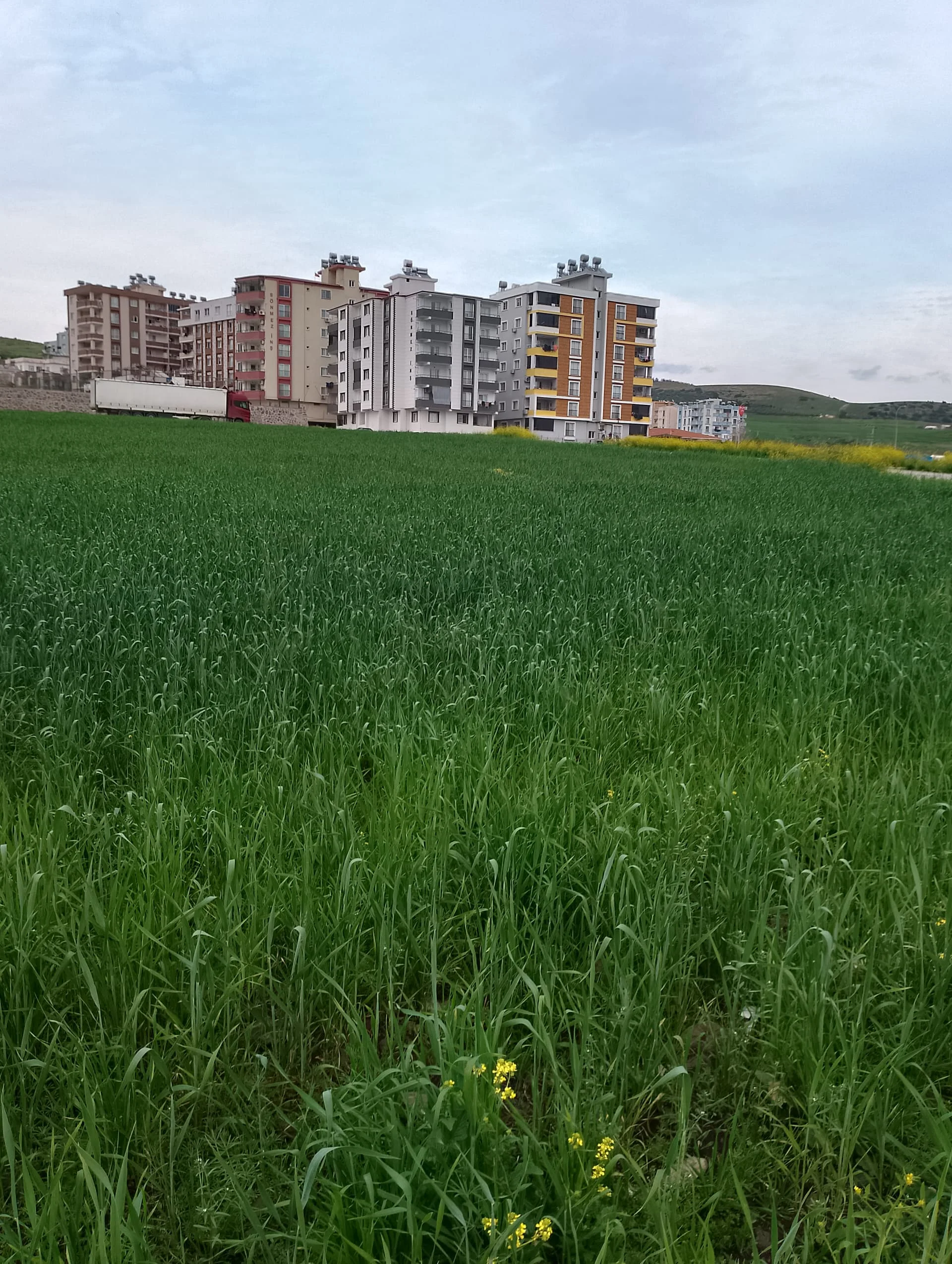 IMG_20240317_171928_HDR