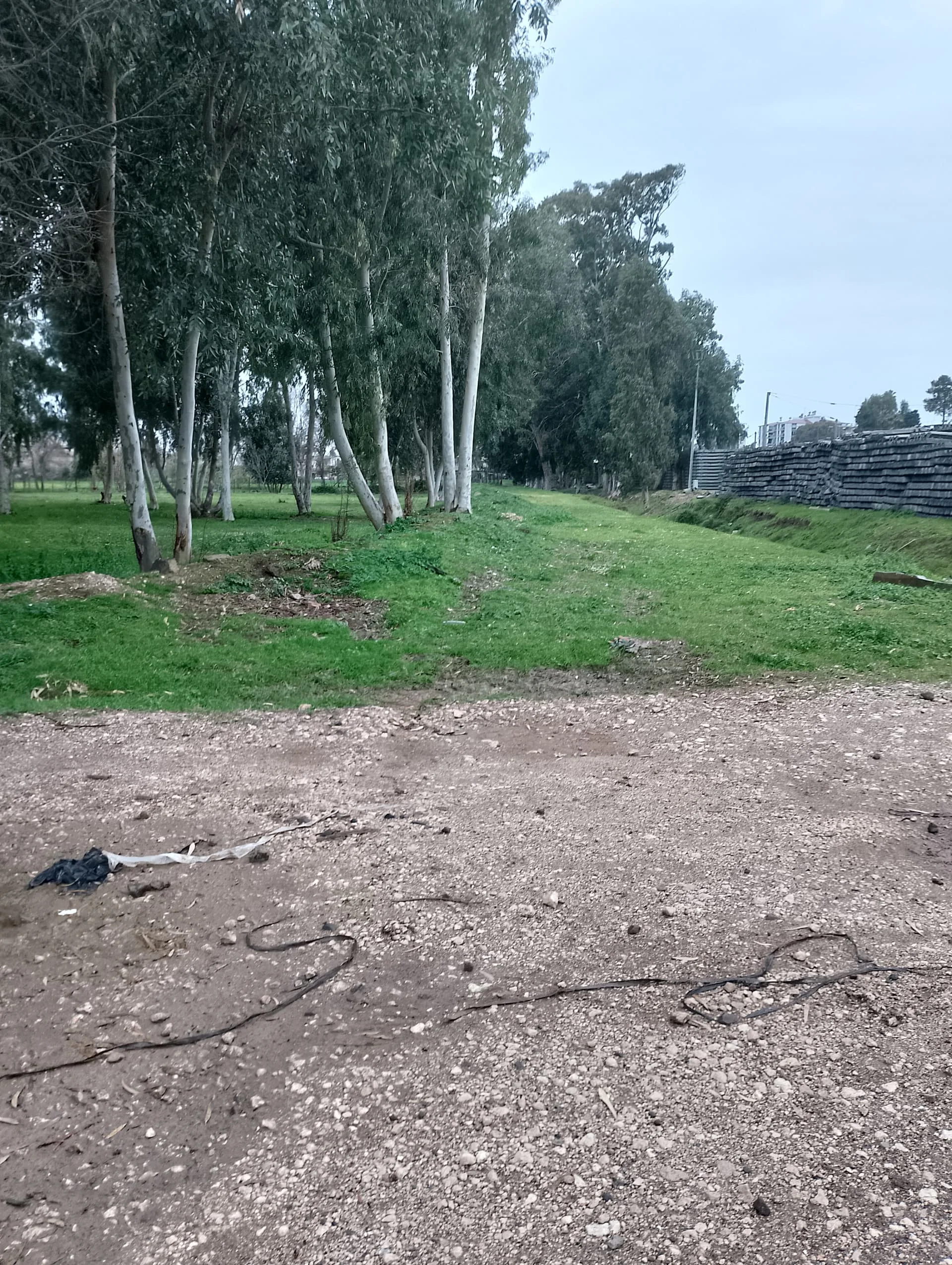 IMG_20240318_154517_HDR