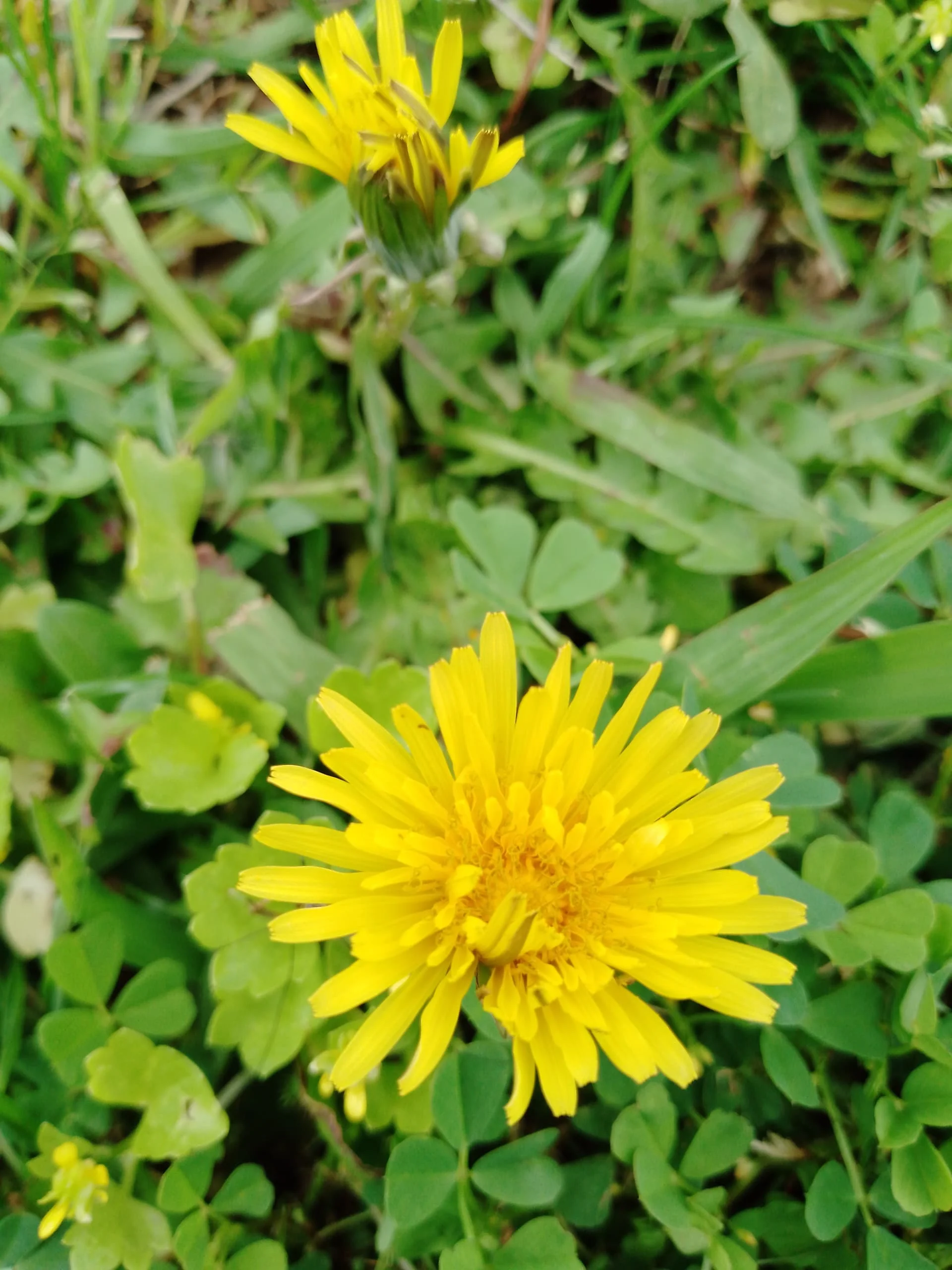 IMG_20240320_150927_573