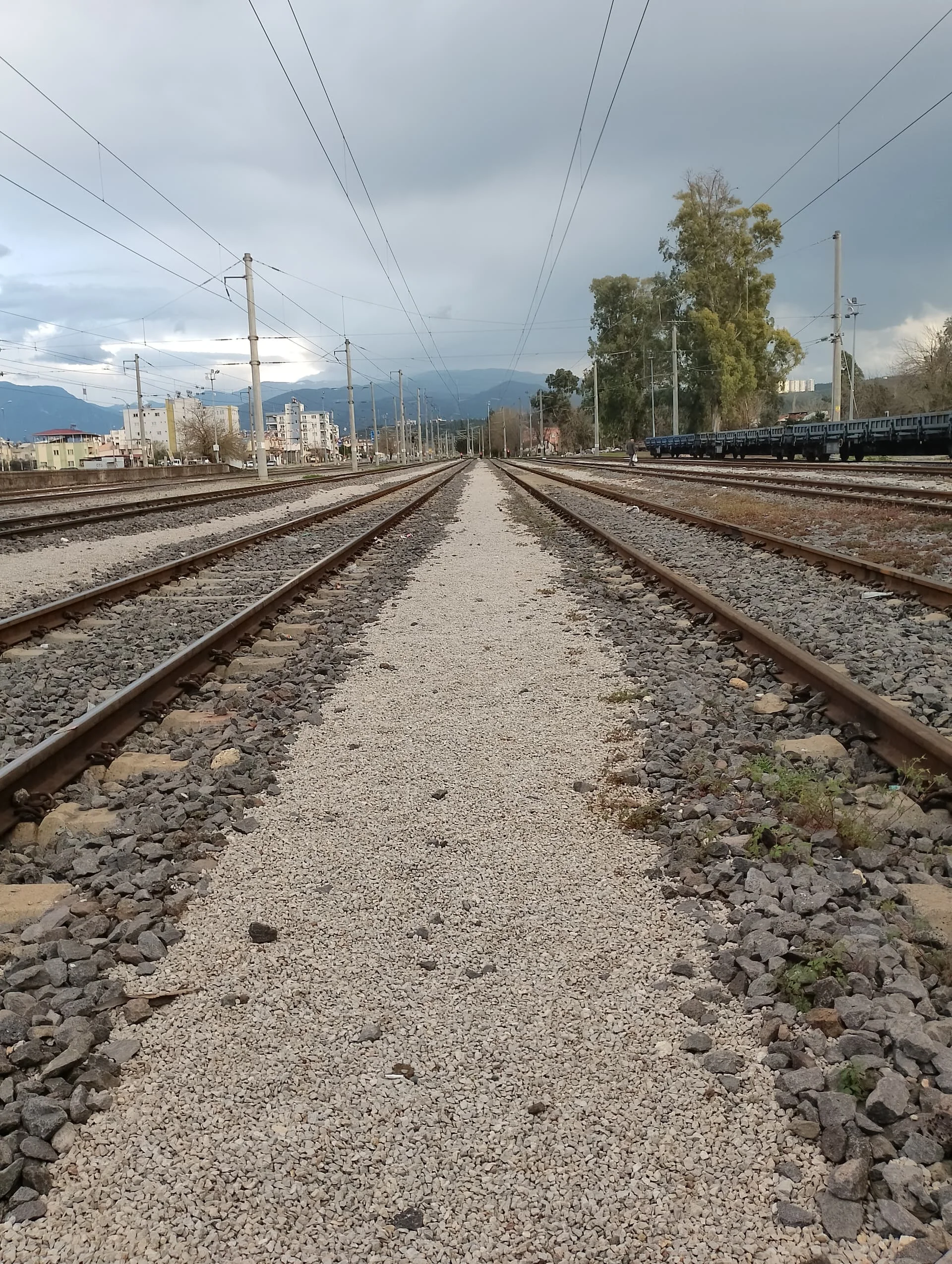 IMG_20240320_173515_HDR