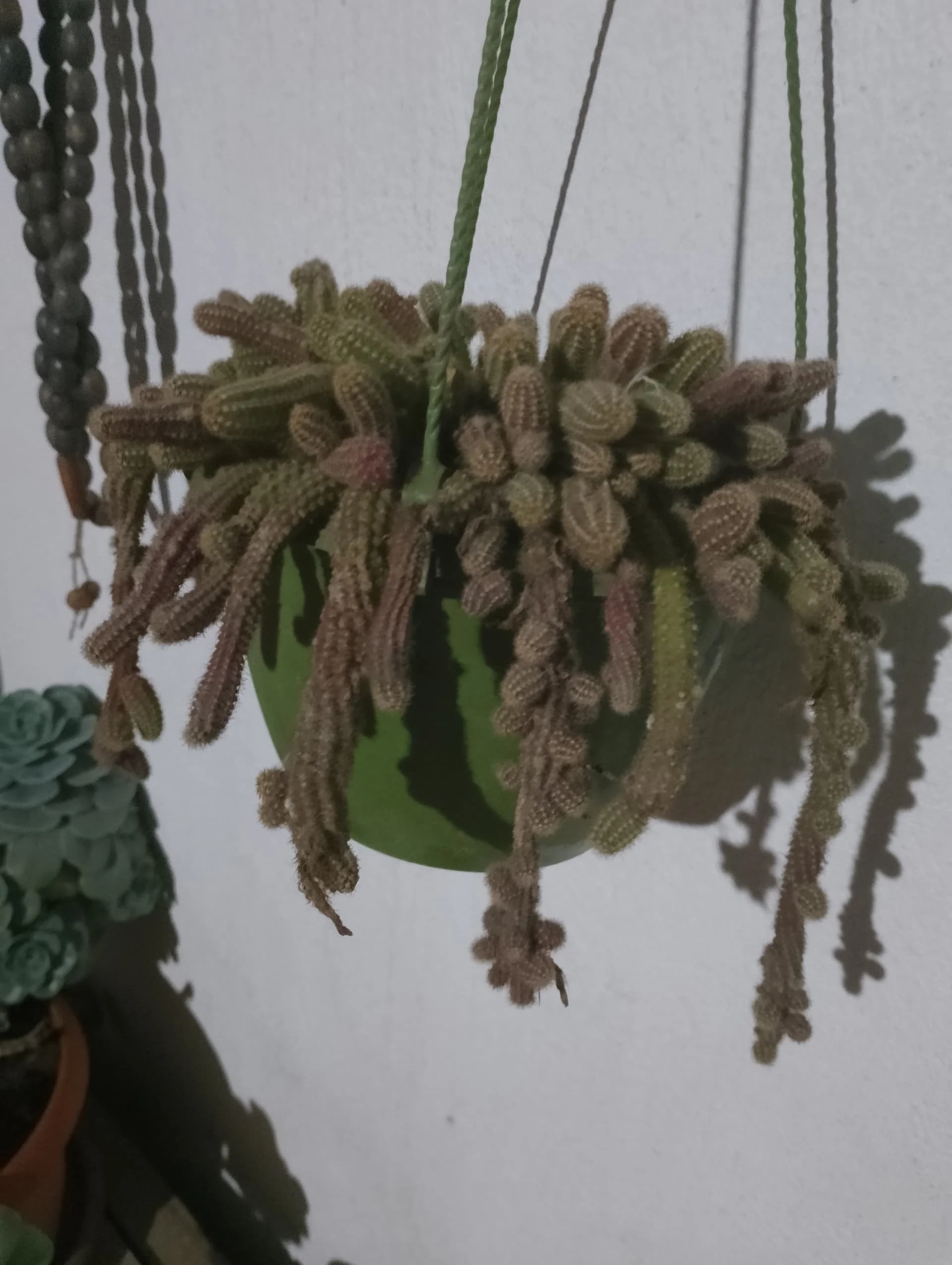 IMG_20240320_221630_HDR