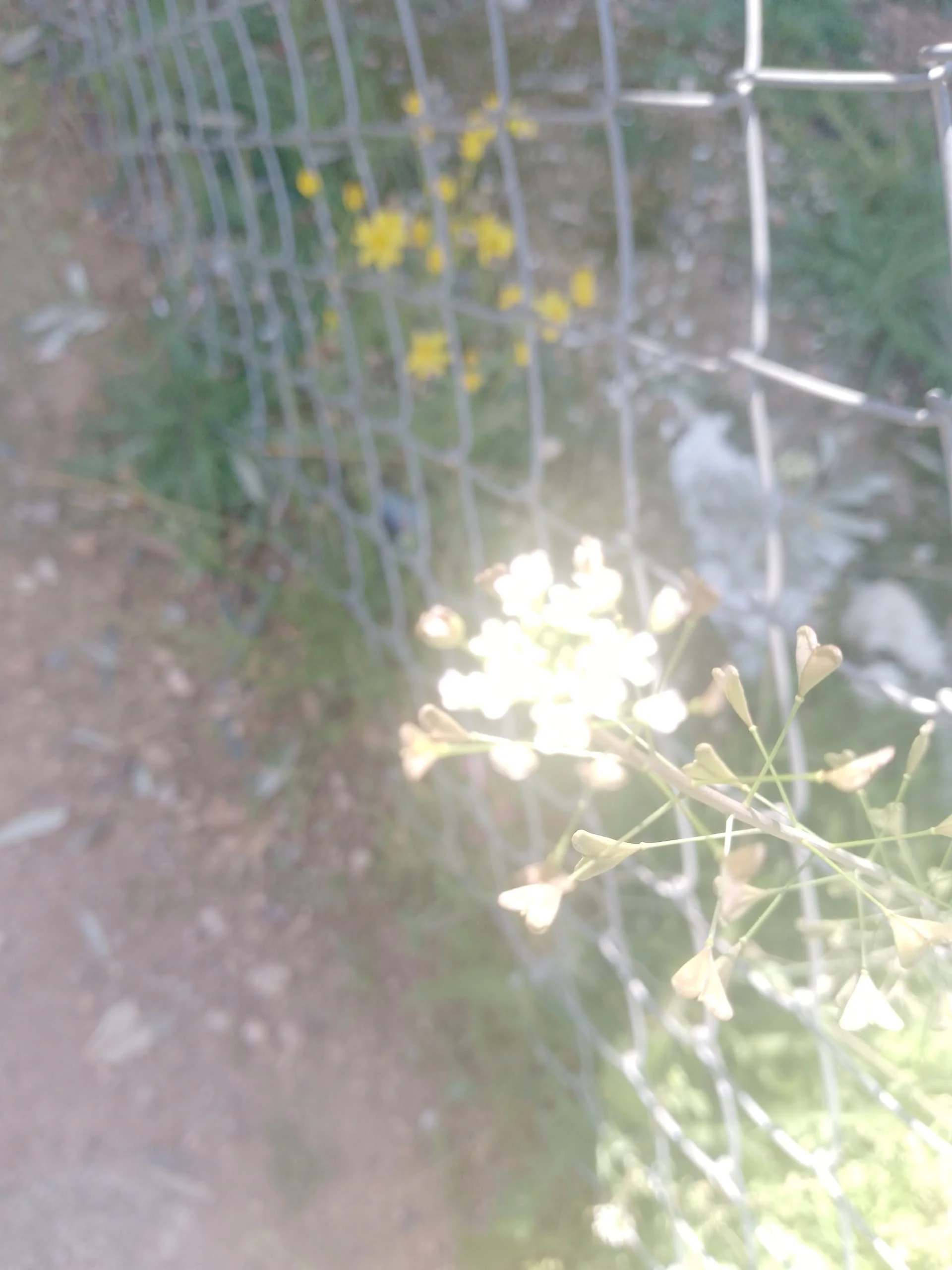 IMG_20240322_114739_746