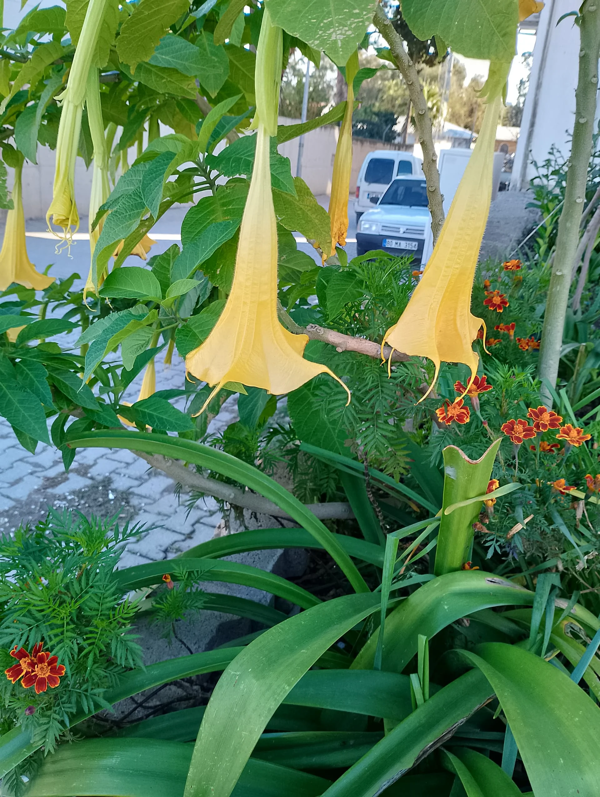 IMG_20240322_163056_HDR