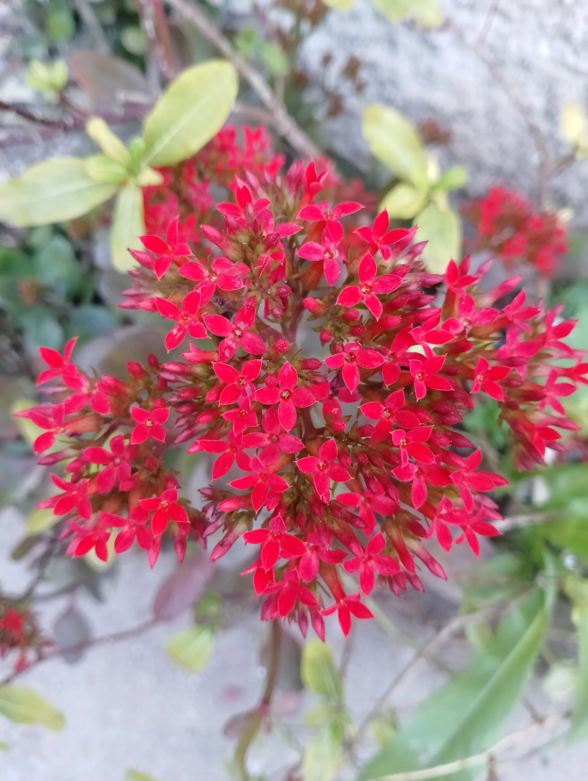 IMG_20240323_175843_HDR