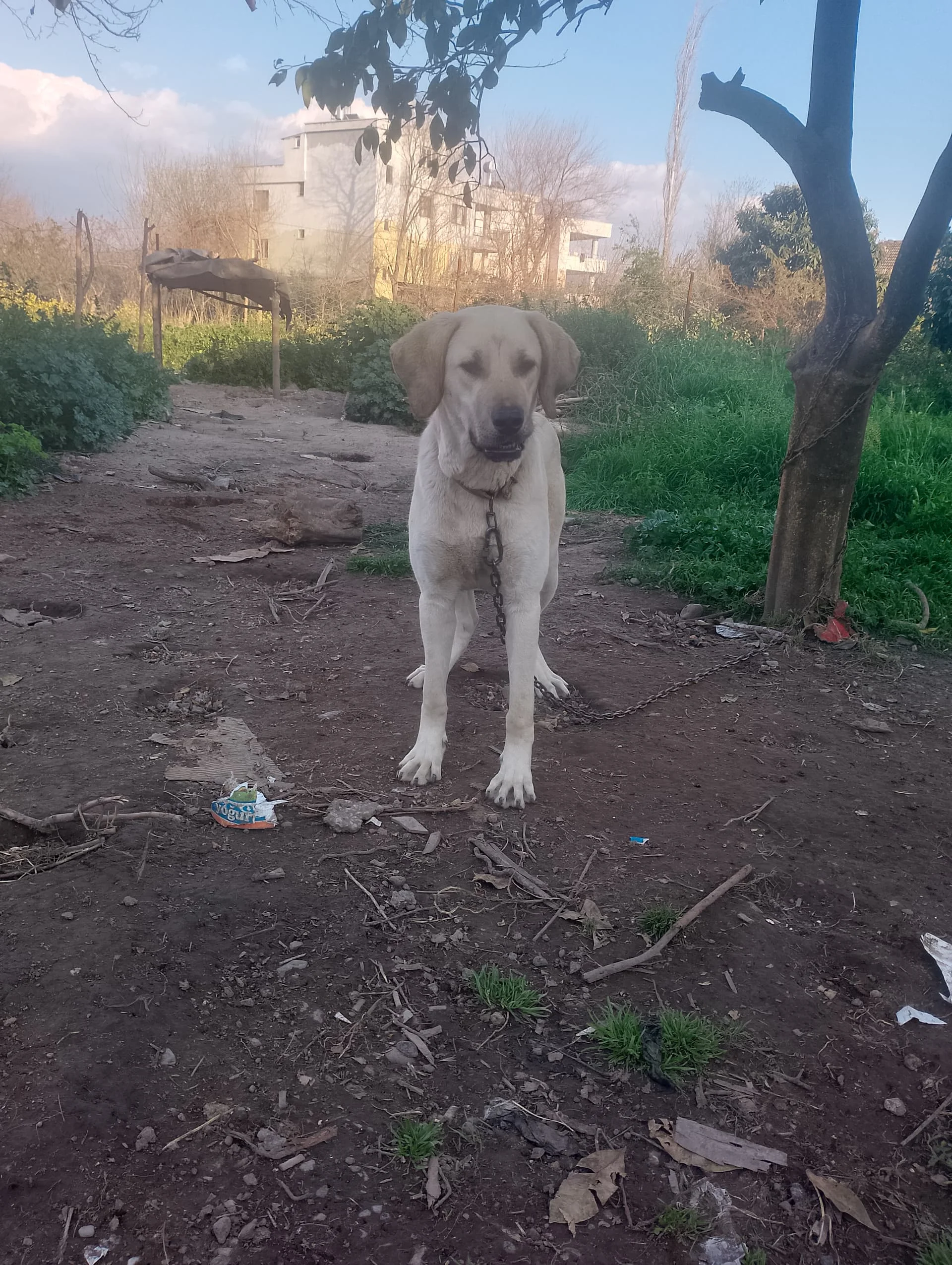 IMG_20240324_174803_HDR